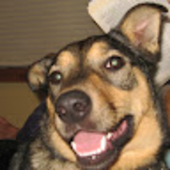 Meet your Posher, Selch - Picture 1 of 1